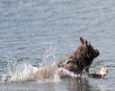20150822-wwd-0312