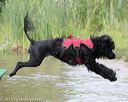 20150823-awd-0168