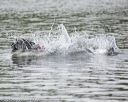 20150823-cwd-0011