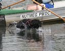 20150823-cwd-0023