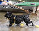 20150823-cwd-0082