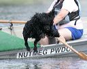20150823-cwd-0231