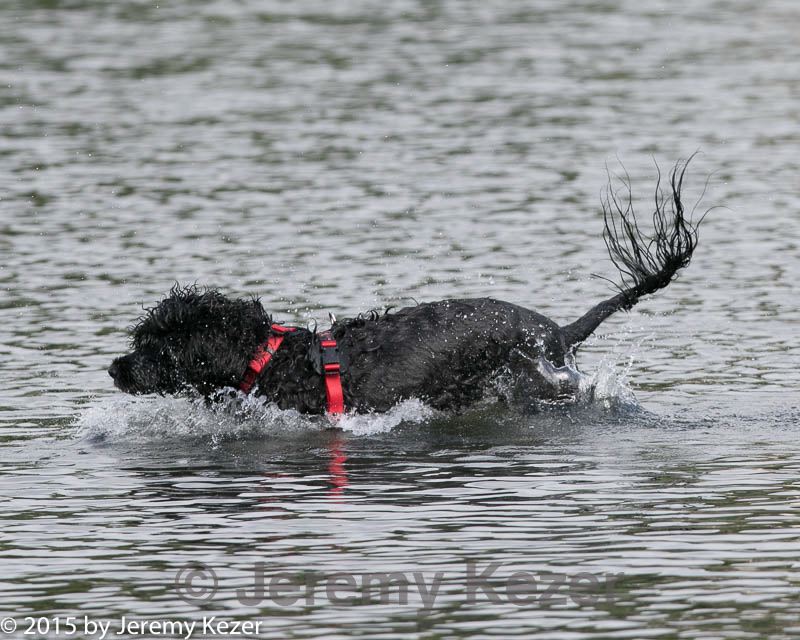 20150823-cwd-0053.jpg