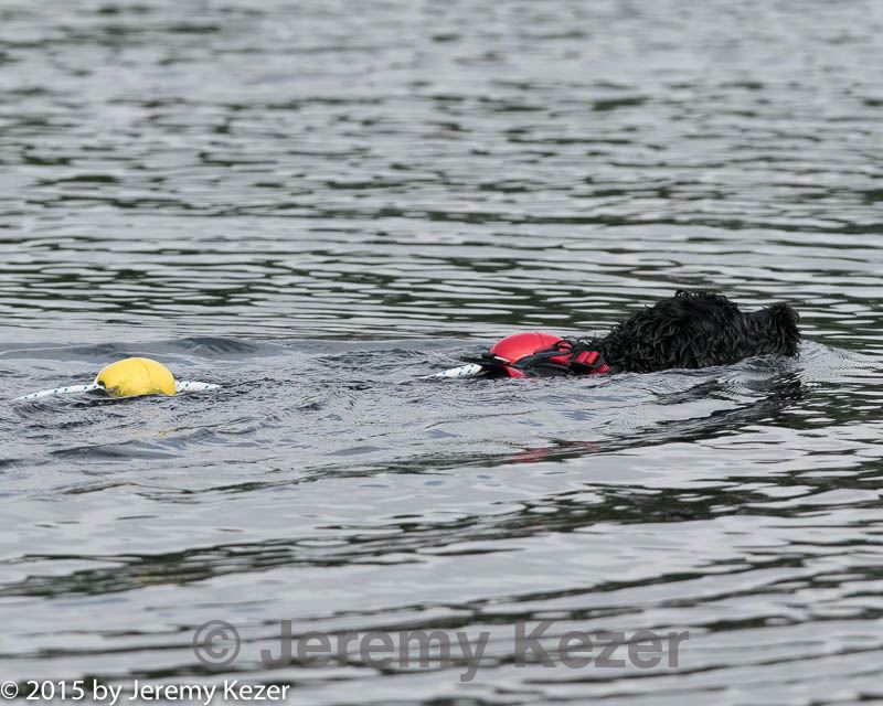 20150823-cwd-0072.jpg