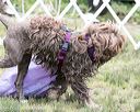 20150823-wwd-0008