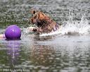 20150823-wwd-0024