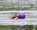 20150823-wwd-0027