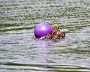 20150823-wwd-0035