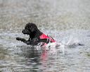 20150823-wwd-0057