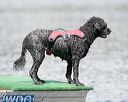 20150823-wwd-0073