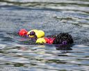 20150823-wwd-0081