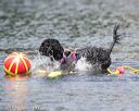 20150823-wwd-0108