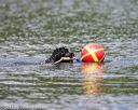 20150823-wwd-0114