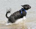 20150829-awd-0046