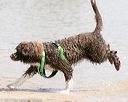 20150829-awd-0152