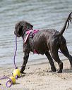 20150829-cwd-0022