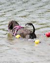 20150829-cwd-0029