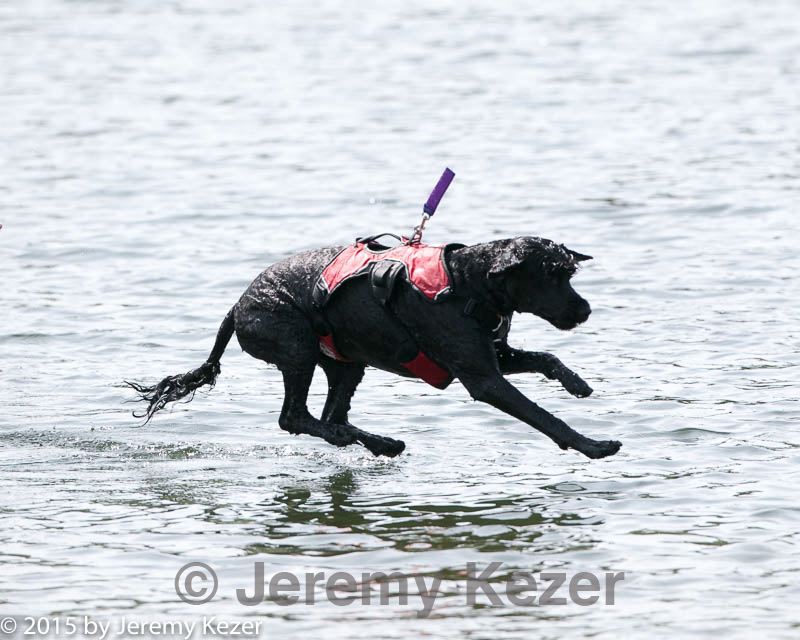 20150829-cwd-0297.jpg
