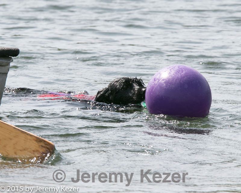 20150829-cwd-0317.jpg