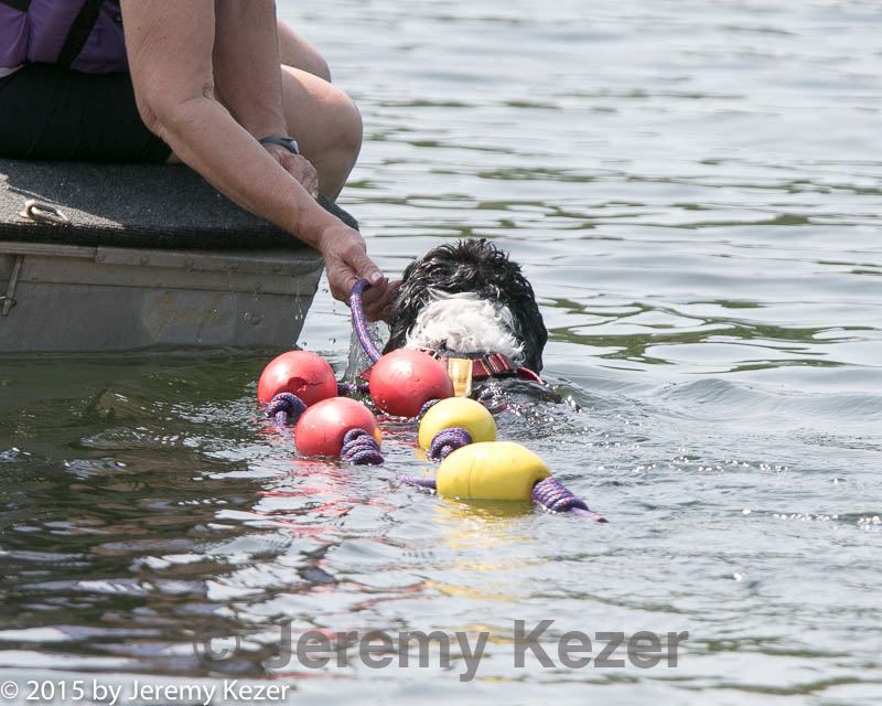 20150829-cwd-0359.jpg