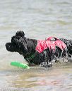 20150829-jwd-0033