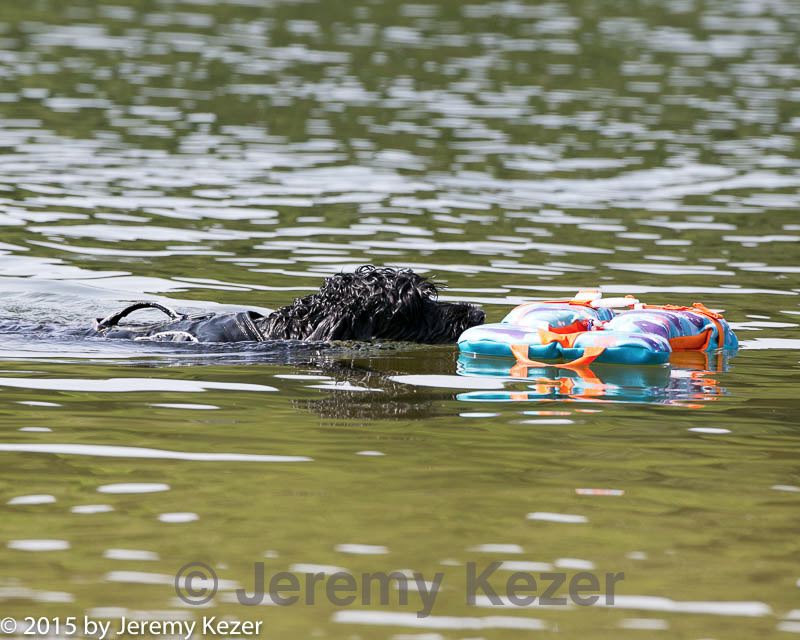 20150829-v-0338.jpg