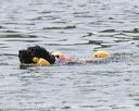 20150829-wwd-0056