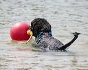 20150829-wwd-0106