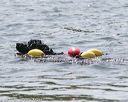 20150829-wwd-0198