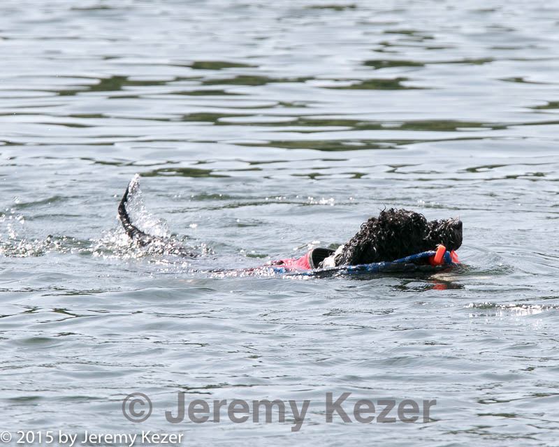 20150829-wwd-0044.jpg