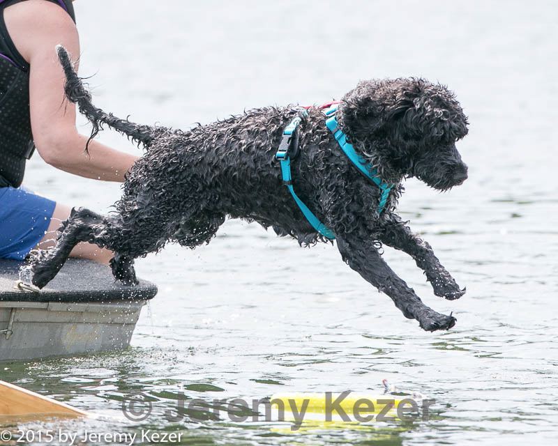 20150829-wwd-0099.jpg
