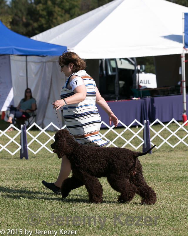 20150924-co-0170.jpg
