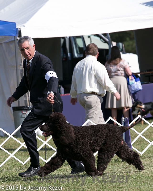 20150924-co-0183.jpg