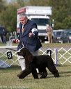 20150926-co-0432