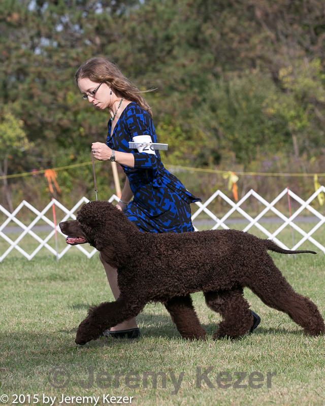 20150926-co-0529.jpg