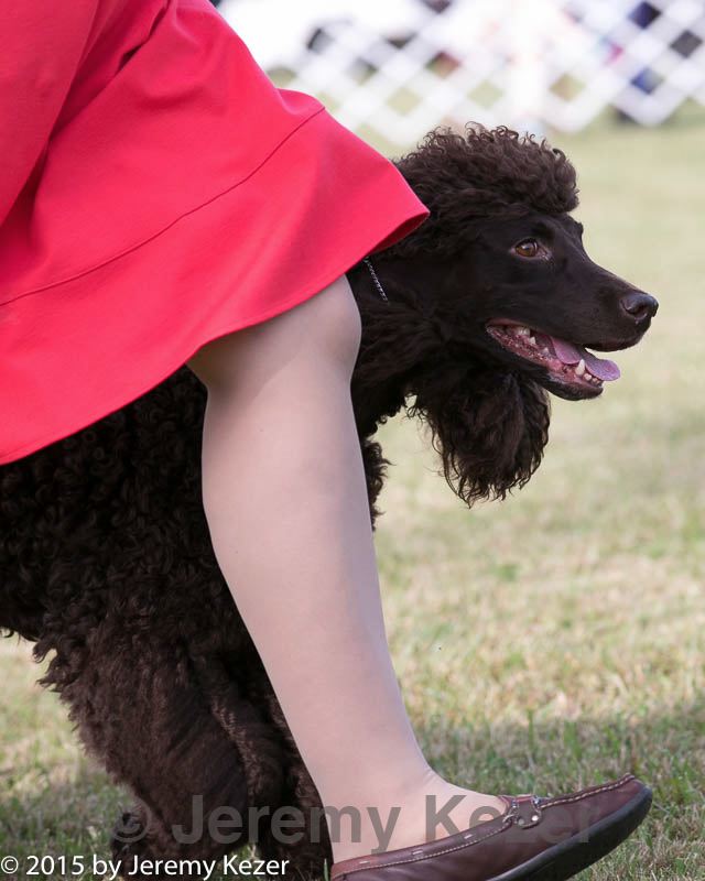 20150926-co-0561.jpg