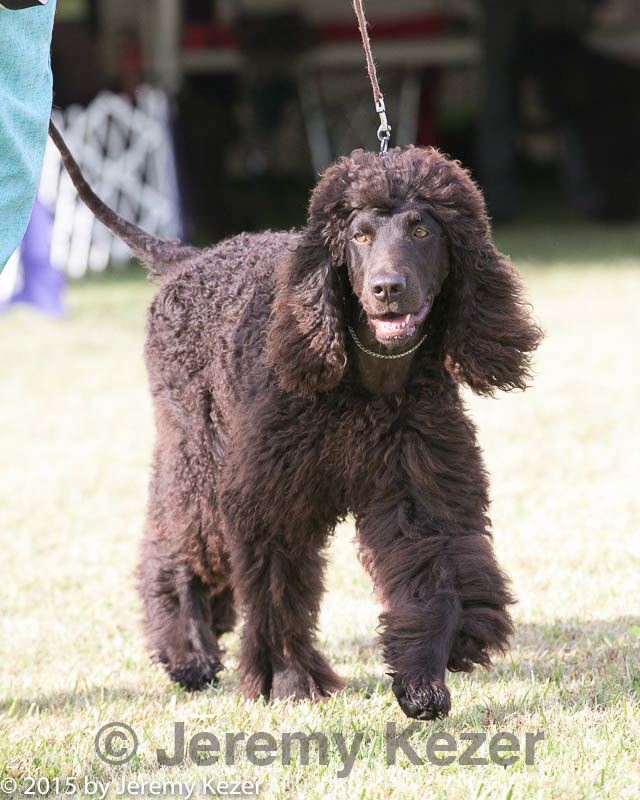20150926-co-0584.jpg