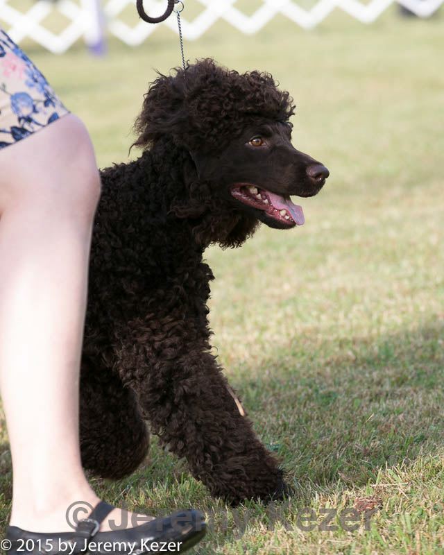 20150926-co-0209.jpg