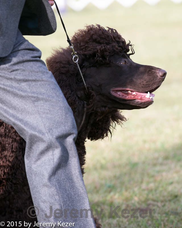 20150926-co-0250.jpg
