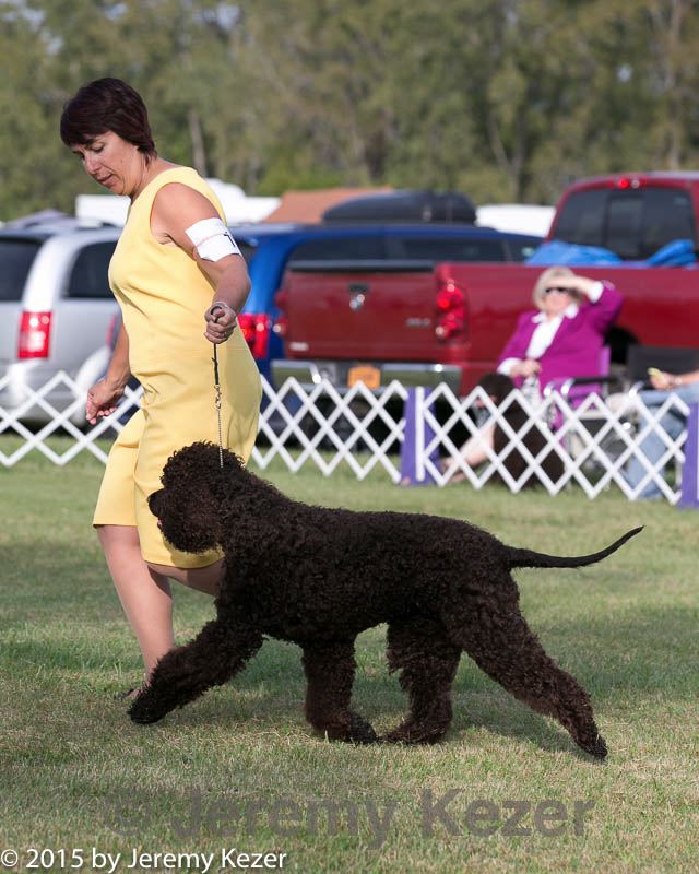 20150926-co-0256.jpg