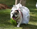20151017-0068