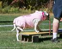 20151017-0334