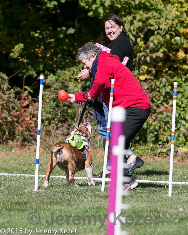 20151017-0147.jpg