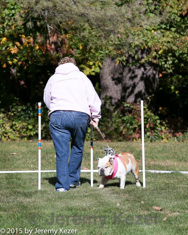 20151017-0270.jpg