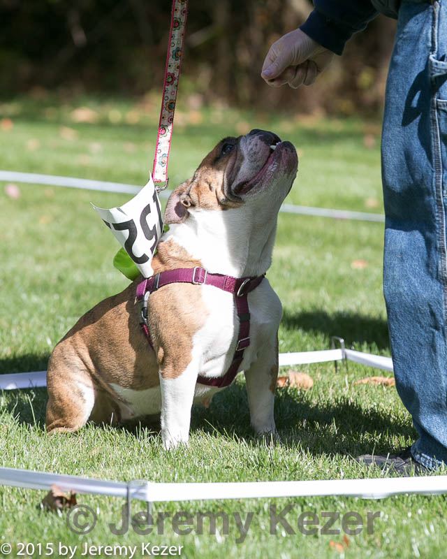 20151017-0311.jpg