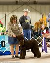20160305-0574