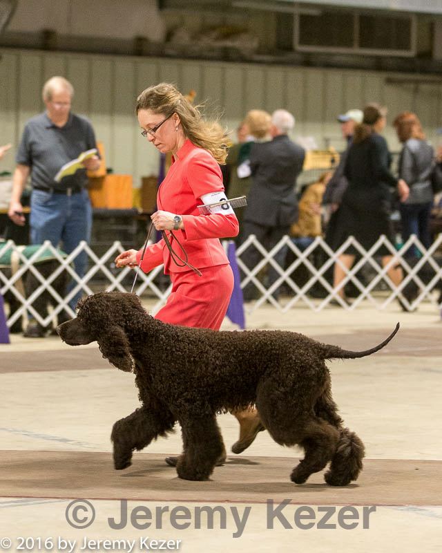 20160305-0474.jpg
