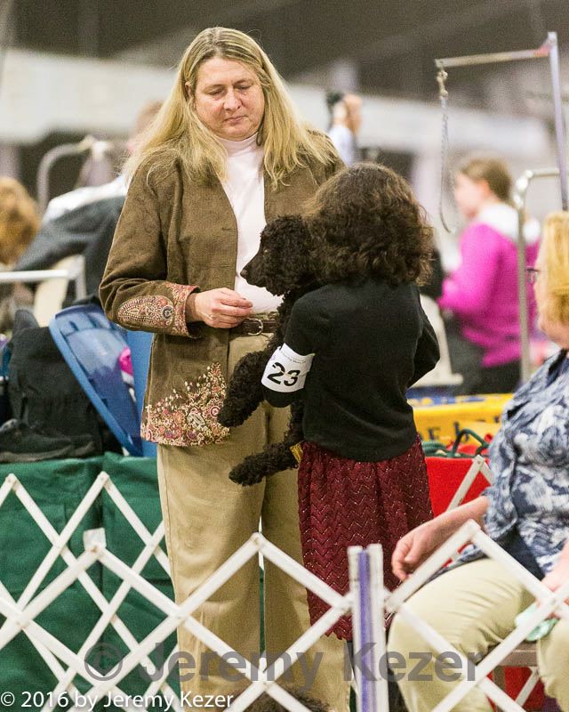 20160305-0018.jpg
