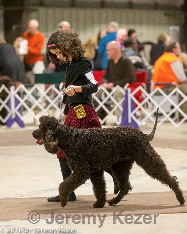 20160305-0432.jpg