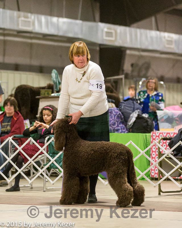 20160305-0267.jpg